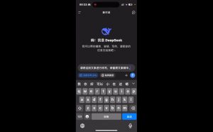 deepseek+小红书打造流量生产线实操课-网赚项目平台