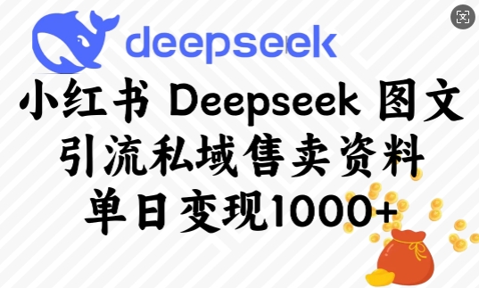 小红书Deepseek图文引流私域售卖资料，单日变现多张-网赚项目平台