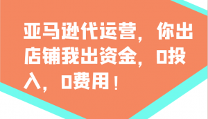 亚马逊代运营，你出店铺我出资金，0投入，0费用，无责任每天300分红，赢亏我承担-网赚项目平台