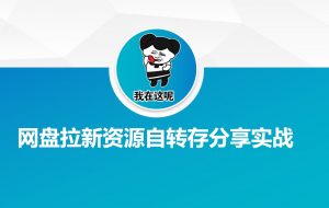 网盘拉新资源自动转存分享实战-网赚项目平台