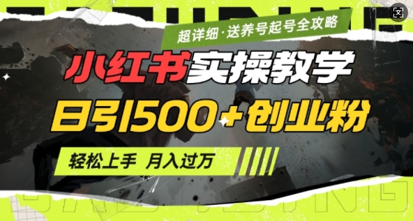 2月小红书最新日引500+创业粉实操教学【超详细】小白轻松上手，月入1W+，附小红书养号起号SOP-网赚项目平台