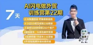 AI闪电做外贸训练营第22期:Al快速选品+小白1小时完成独立站搭建+10分钟获取200个客户等-网赚项目平台