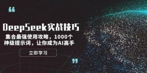 DeepSeek实战技巧：集合最强使用攻略，1000个神级提示词，让你成为AI高手-网赚项目平台
