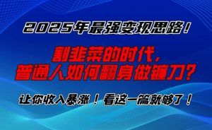 2025年最强变现思路，割韭菜的时代， 普通人如何翻身做镰刀？【揭秘】-网赚项目平台