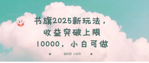 书旗2025新玩法,收益突破上限10000,小白可做-网赚项目平台