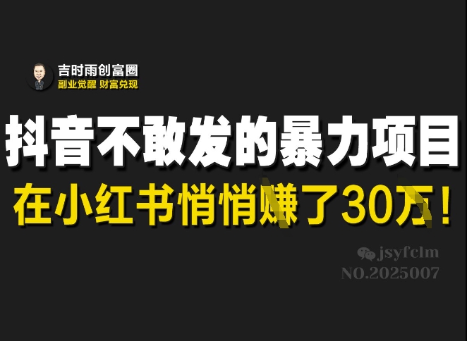 抖音不敢发的暴利项目,在小红书悄悄挣了30W-网赚项目平台