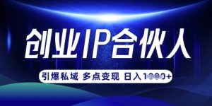 云帆·创业ip合伙人打造3.0，从0到1教你做网创，实现月入过W-网赚项目平台