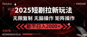2025短剧拉新玩法，无需注册登录，无限0撸，无脑批量操作日入2000+-网赚项目平台