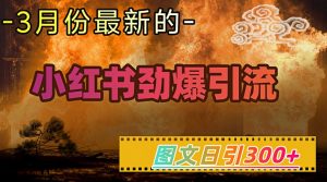 小红书超劲爆引流手段,图文日引300+轻松变现1W-网赚项目平台