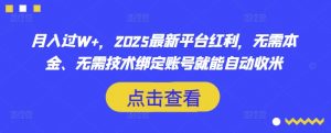 月入过W+，2025最新平台红利，无需本金、无需技术绑定账号就能自动收米-网赚项目平台