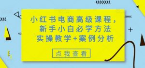 小红书电商高级课程,新手小白必学方法,实操教学+案例分析-网赚项目平台
