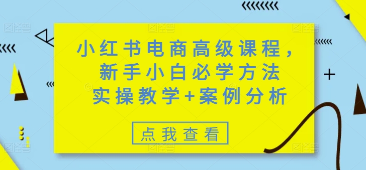 小红书电商高级课程，新手小白必学方法，实操教学+案例分析-网赚项目平台
