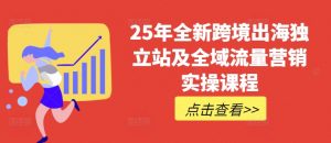25年全新跨境出海独立站及全域流量营销实操课程，跨境电商独立站TIKTOK全域营销普货特货玩法大全-网赚项目平台