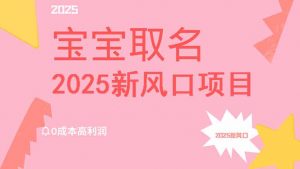 2025新风口项目宝宝取名，0成本高利润，附保姆级教程，月入过万不是梦-网赚项目平台
