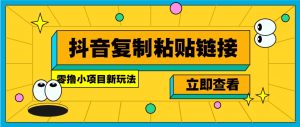零撸小项目，新玩法，抖音复制链接0.07一条，20秒一条，无限制。-网赚项目平台