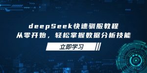 deepSeek快速驯服教程，从零开始，轻松掌握数据分析技能-网赚项目平台