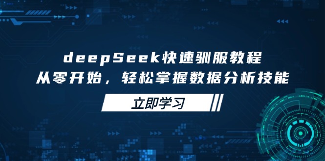 deepSeek快速驯服教程，从零开始，轻松掌握数据分析技能-网赚项目平台