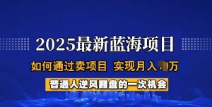 2025蓝海项目，普通人如何通过卖项目，实现月入过W，全过程【揭秘】-网赚项目平台