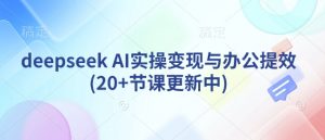 deepseek AI实操变现与办公提效(20+节课更新中)-网赚项目平台