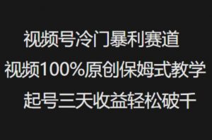 视频号冷门暴利赛道视频100%原创保姆式教学起号三天收益轻松破千-网赚项目平台