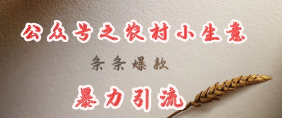 deepseek写农村小项目，条条爆款，暴力引流-网赚项目平台