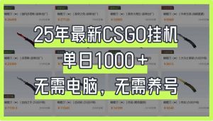 25年最新CSGO挂机系统，单日1000+，无需电脑，无需养号，0基础可上手-网赚项目平台