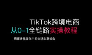 TikTok跨境电商从0-1全链路全方位实操教程,把握多元变化中的全球生意机会-网赚项目平台