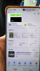 抖音暴力涨粉技术：一天轻松1-10万粉，技术不确定真实性，自测-网赚项目平台