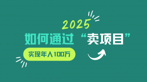 2025年如何通过“卖项目”实现年入100w-网赚项目平台