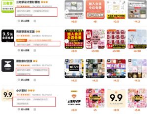 0成本虚拟项目实战手把手教你落地，单店月入5k-网赚项目平台