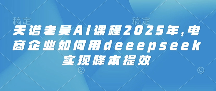 天诺老吴AI课程2025年，电商企业如何用deeepseek实现降本提效-网赚项目平台