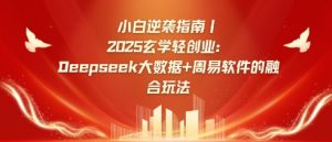 小白逆袭指南，2025玄学轻创业：Deepseek大数据+周易算法的融合玩法-网赚项目平台