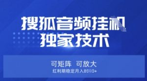 【搜狐音频挂G】独家技术,可矩阵可放大,红利期稳定月入8k【揭秘】-网赚项目平台