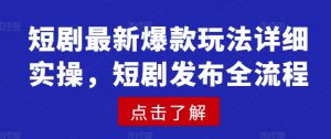短剧最新爆款玩法详细实操，短剧发布全流程-网赚项目平台