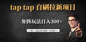 taptap拉新自刷项目,一个新用户14元,矩阵玩法日入300+-网赚项目平台