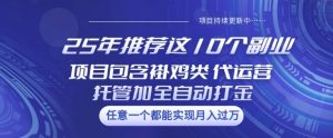 25年推荐这10个副业项目包含褂鸡类、代运营托管类、全自动打金类【揭秘】-网赚项目平台