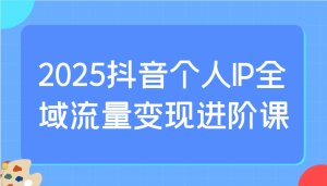 2025抖音个人IP全域流量变现进阶课：选爆品、抖音付费投流、千川投流实操及优化等-网赚项目平台