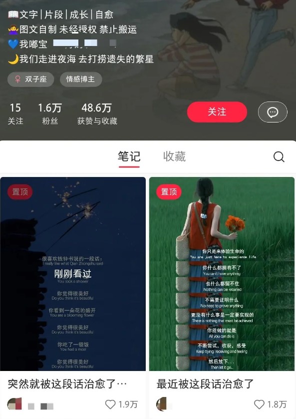 小红书治愈文案图文笔记，零门槛，一分钟制作轻松制作爆款作品月入万元-网赚项目平台