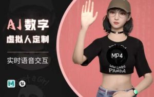 Ai数字人虚拟(智能体)实时语音交互特训营,自行定制超写实角色AI数字人交互技术-网赚项目平台