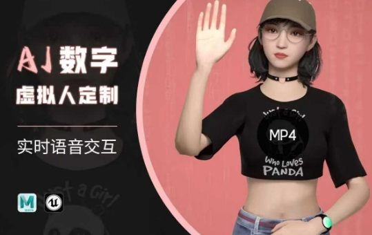 Ai数字人虚拟(智能体)实时语音交互特训营,自行定制超写实角色AI数字人交互技术-网赚项目平台