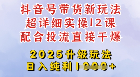 2025全新升级抖音带货玩法，一天纯利四位数，从剪辑到选品再到发布投流，超详细玩法揭秘-网赚项目平台