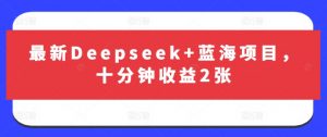 最新Deepseek+蓝海项目，十分钟收益2张-网赚项目平台