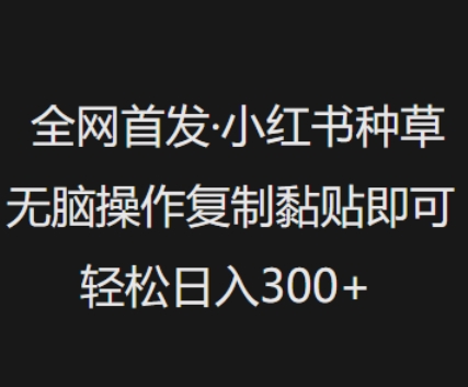 全网首发，小红书种草无脑操作，复制黏贴即可，轻松日入3张-网赚项目平台
