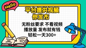 平台提供视频 你发布 无粉丝要求 不看视频播放量 发布就有钱 轻松一天300+-网赚项目平台