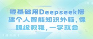 零基础用Deepseek搭建个人智能知识外脑，保姆级教程，一学就会-网赚项目平台