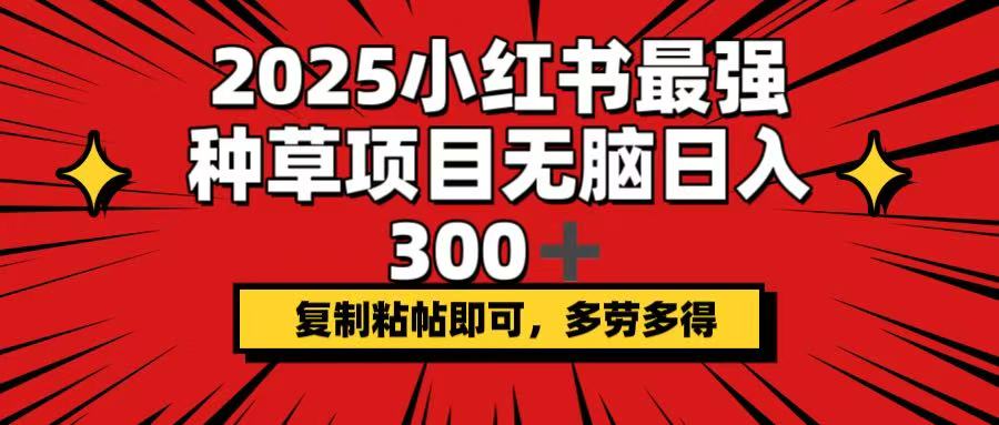 2025小红书最强种草项目，无脑日入300+，复制粘帖即可，多劳多得-网赚项目平台