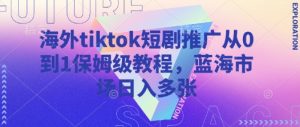 海外tiktok短剧推广从0到1保姆级教程，蓝海市场日入多张-网赚项目平台
