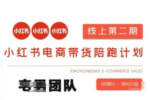 小红书电商带货课2期，月利润20个的小红书电商的有货源，无货源，虚拟产品，付费投流等整套玩法-网赚项目平台