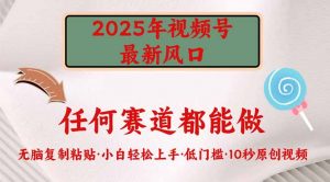 2025年视频号新风口，低门槛只需要无脑执行-网赚项目平台