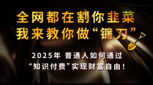 全网都在割你韭菜,我来教你做镰刀,2025普通人如何通过知识付费,实现财F自由【揭秘】-网赚项目平台